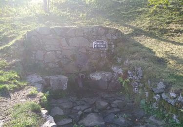 Tour Wandern Kirchberg - Lochberg - Photo