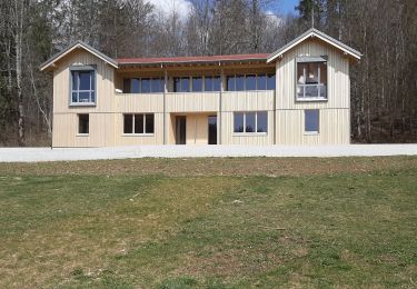 Percorso Marcia Saint-Point-Lac - St Point 20210402 - Photo