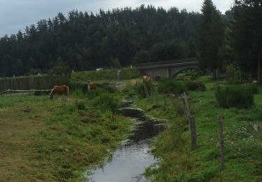 Trail Walking Saint-Alban-sur-Limagnole - CC_Velay_AD_04_St-Alban-Limagnole_Peyre-Aubrac_20060824 - Photo