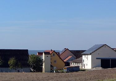 Percorso A piedi Weisendorf - Weisendorfer Rundwanderweg 8 - Photo