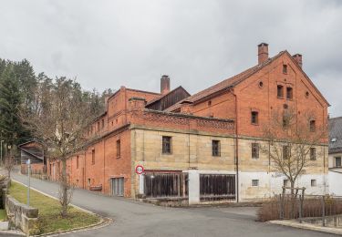 Tocht Te voet Hollfeld - Obernsees Rundwanderweg 