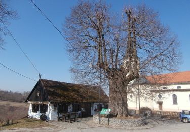 Excursión A pie Zagreb - Staza 35 - Photo