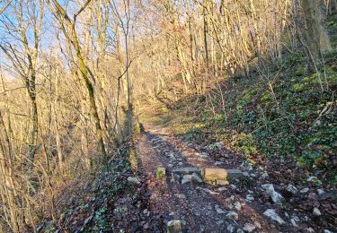 Tour Wandern Comblain-au-Pont - A la découverte de Comblain-au-Pont 🥾 - Photo