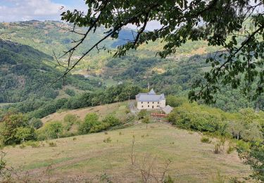 Excursión Senderismo Saint-Hippolyte - Chateau et puech de Poujol - Photo