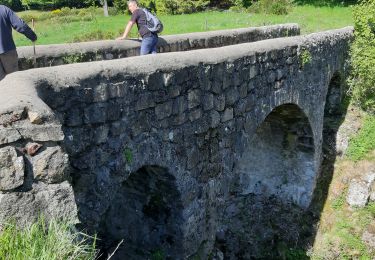 Randonnée Marche Lachamp-Raphaël - Lachamp-Raphaël :  les sucs - Photo