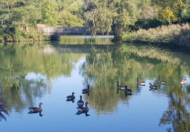 Tour Wandern L'Isle-Adam - L,'Isle Adam   Cassin - Photo