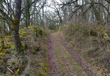 Tocht Stappen Castelfranc - Castelfranc Tindout photos  - Photo