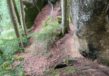 Trail Walking Ernzen - Balade Ernzen Allemagne  - Photo