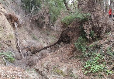 Trail Walking Carros - BALCON CARROS - Photo