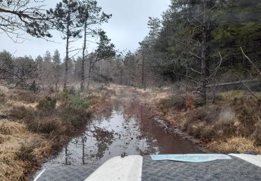 Tocht 4x4 Fénols - Vabre Anglés Parc du haut Languedoc - Photo