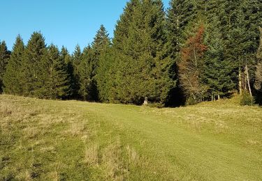 Trail Walking Valserhône - Cuvery-Merlogne - Photo