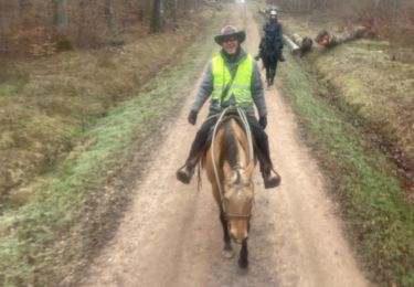 Trail Horseback riding Métairies-Saint-Quirin - Elodie kalio joyeux Tivio  - Photo