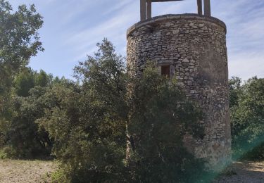 Tour Wandern Marguerittes - Marguerittes - Combe-des-bourguignons - Photo