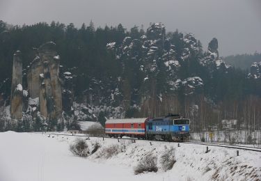 Randonnée A pied Vernéřovice - CZ-7243 - Photo