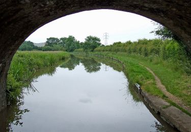 Tour Zu Fuß Hinckley and Bosworth - Footpath T54 - Photo