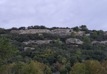 Excursión Senderismo Venasque - Combes et forêt de Vénasque  - Photo