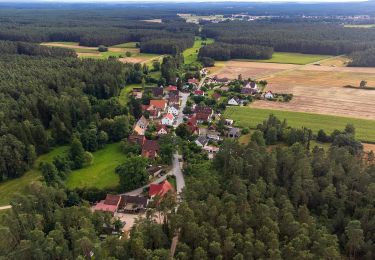 Tour Zu Fuß Schwanstetten - Zum Köhlerbetrieb - Photo