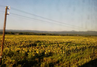 Percorso A piedi  - Feričanci - Srednjak - Photo