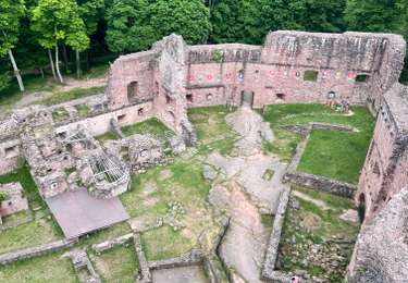 Excursión Senderismo Wangenbourg-Engenthal - Circuit randonnée Autour des 2 Châteaux 5,5km - Photo