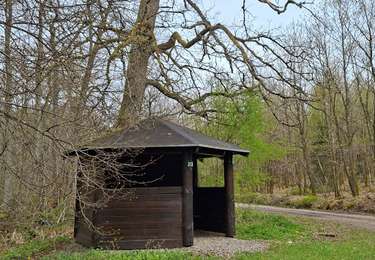 Tour Wandern Eupen - Euoen  - Photo