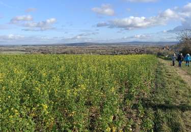 Tocht Stappen Bassou - Boucle à Bassou - Photo