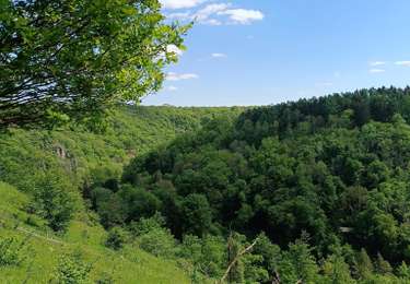 Tocht Stappen Ferrières - Promenade des cretes - Photo