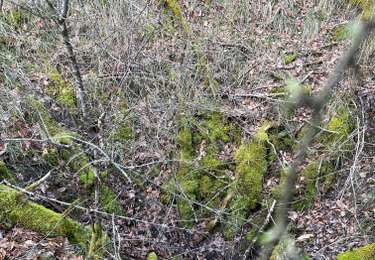 Tour Wandern Latrecey-Ormoy-sur-Aube - 52 LATRECEY-ORMOY-SUR-AUBE minerai fer - Photo