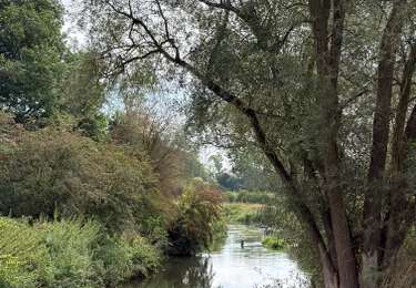 Tour Wandern Oud-Heverlee - Sint Joris Weert Doode Bemde Meerdael - Photo