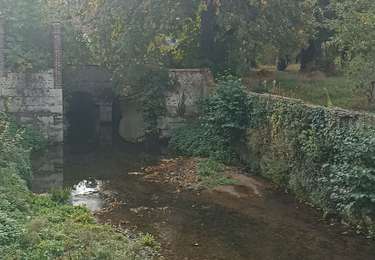 Randonnée Marche nordique Chartres - 2025 APL MB Lèves j.horti La Roseraie  - Photo