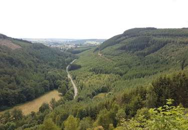Randonnée Cheval Saint-Hubert - Chevauchée de la Bonne Dame - Photo