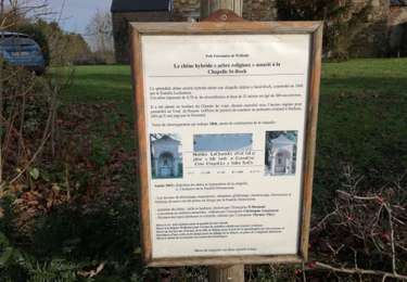 Randonnée Cheval Blegny - Promenade des 7 villages à cheval - Photo