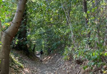 Tocht Stappen Lubbeek - Linden (Wijn lasses) variante  - Photo