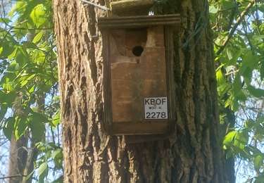 Randonnée Marche Ypres - PALINGBEEK Christian - Photo