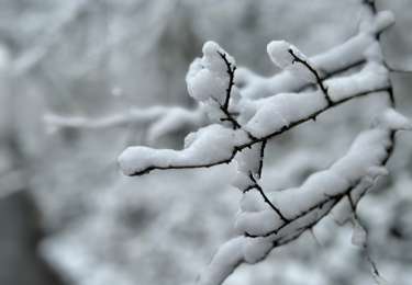 Randonnée A pied Rochefort - ADEPS 2025 (20km) - Photo