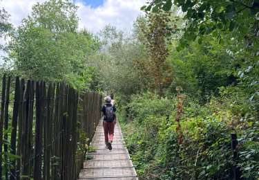 Tour Wandern Huldenberg - Nerijse doode Bemde.  - Photo