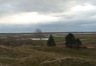 Tour Wandern Waben - Port de la Madelon 6 . 11 2025 - Photo