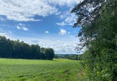 Tocht Stappen Burg-Reuland - Gruffligen - Photo