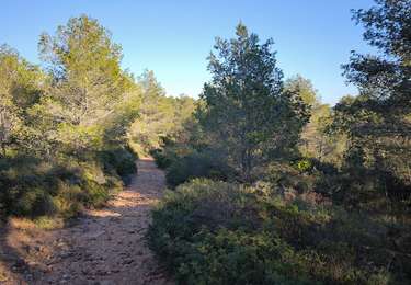 Tour Wandern Quarante - Quarante,  la croix de juillet. - Photo
