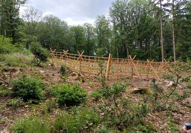 Tour Wandern Couvin - Brûly de Pesche - Photo