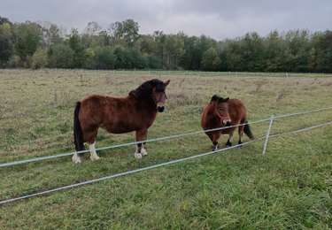 Tocht Stappen Montigny-la-Resle - Randonnée Montigny la Resle - Photo
