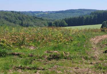Tour Wandern Bouillon - Rochehaut 260526 - Photo