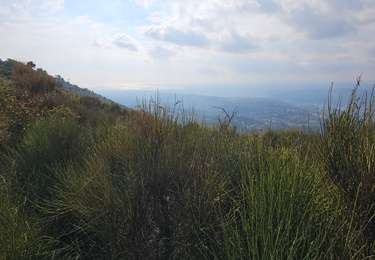 Randonnée Marche Nice - mont Chauve d’Aspremont - Photo