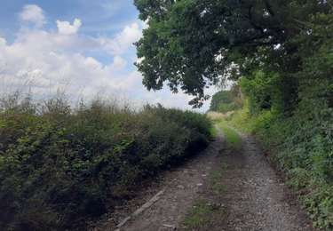 Tour Wandern Tinlot - Ramelot  - Photo