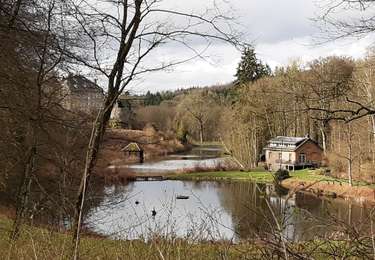 Randonnée Marche Bertogne - Withimont - Photo
