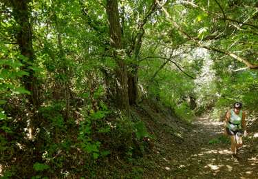 Tour Wandern Tinlot - Scry - Photo