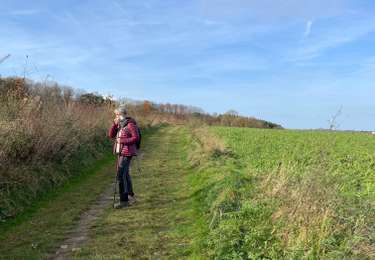 Tocht Stappen Court-Saint-Étienne - Essai raté Beaurieux - Photo