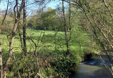 Excursión Senderismo Erquelinnes - SOLRE SUR SAMBRE (Belgique) - Photo