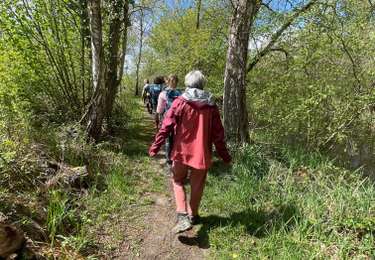 Tocht Stappen Graven - Autour de Pecrot ne - Photo