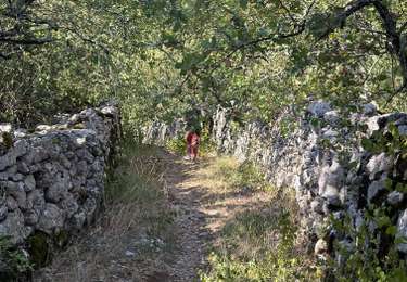 Tour Wandern Vogüé - Dessus Vogüé  - Photo