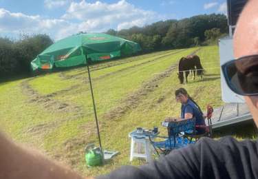 Percorso Equitazione Beauraing - Wancennes-Tanville - Photo